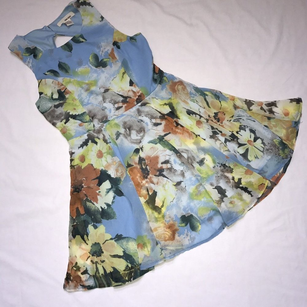 Anthropologie Sans Souci Womens Skater Dress M Sleeveless Chiffon Blue Floral